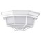 Nuvo LED Spider Cage Fixture, White Finish with Frosted Glass 62/1399 - alternate 3